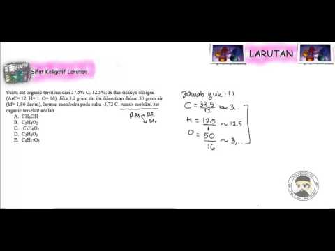 contoh grafik hidup - contoh 193