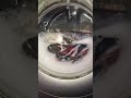 This Is The Last Video Of The Zanussi 21 Years Old