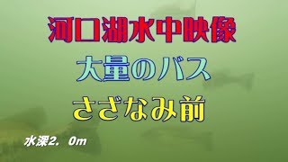 河口湖 水中ドローン・さざなみ前　Go!Go!NBC!