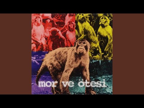 23 - Mor Ve Ötesi