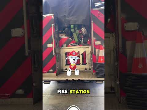 Paw Patrol AR Stickers