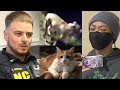 Pit Bull Owners Headed To Court After Their Dogs Attacked People And Killed A Cat