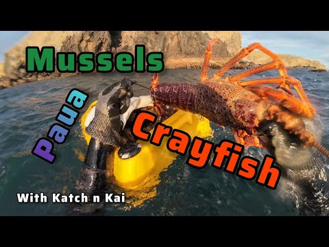 Diving NZ’s South Island for Crayfish, Pāua, Mussels & Butterfish (Catch & Cook) with Kody