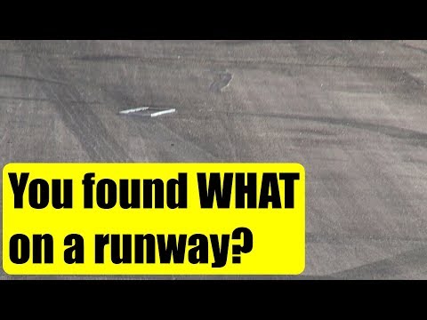 look-what-i-found-on-the-tokoroa-airfield-runway-nzto