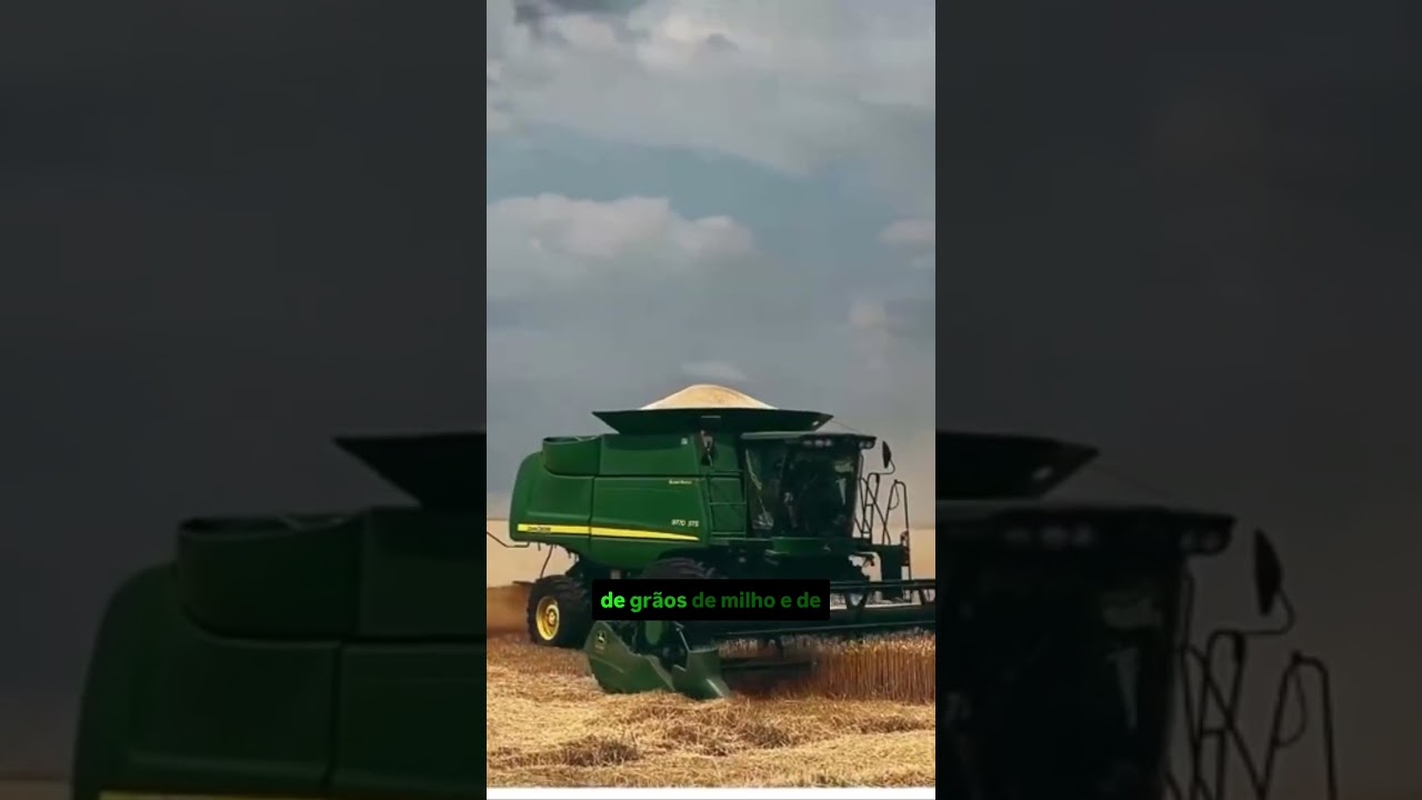Trigo dispara: por que o pãozinho pode ficar mais caro?
