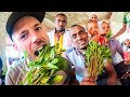 The STRANGE PLANT Everyone Is Eating In Ethiopia