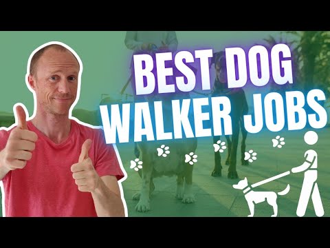 Earn More than $30 per Walk: The Best Dog Walker Jobs