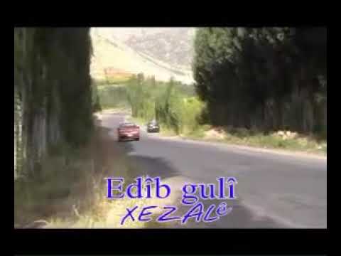 כורדית חבל על הזמן