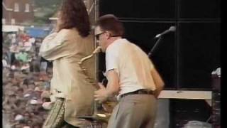 INXS - What You Need - Live Montage - 1988