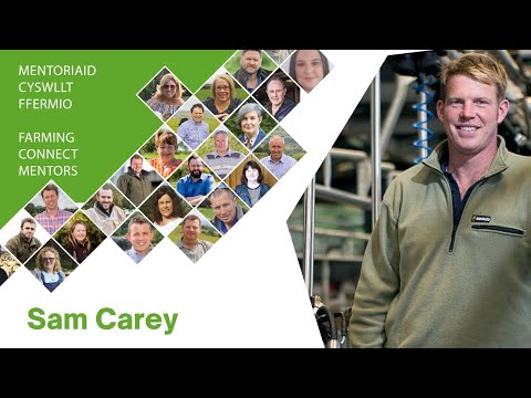 Sam Carey🐄 Mentor tir glas a ffermio adfywiol / Regenerative Farming and grassland management mentor