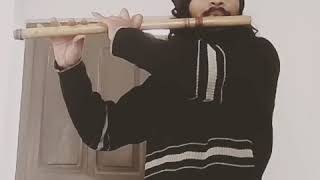 Goonji Si Haii || Aao Na || Flute cover