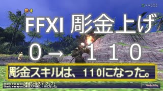 【FFXI】彫金のスキル上げ0ー110 終わるまで何時間かかる？