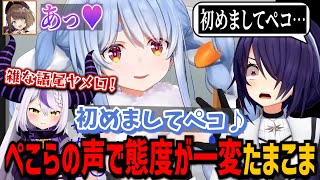 ぺこらとラプラスで態度が変わる魂子とこまる【兎田ぺこら/ラプラス・ダークネス/音霊魂子/栗駒こまる/ホロライブ/あおぎり高校/切り抜き】