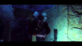 Quickly self check your buoyancy/trim and HOW NOT to scuba dive