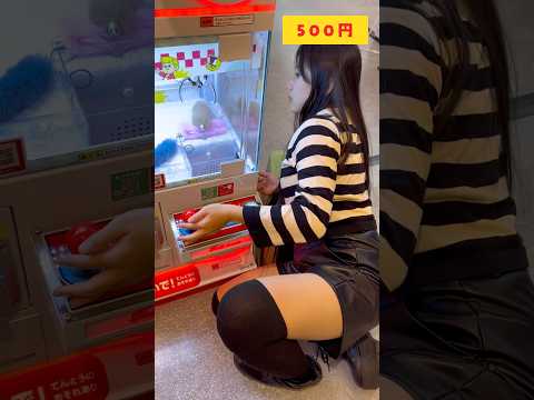 What kind of outfit do you wear to play crane games lol #Shorts