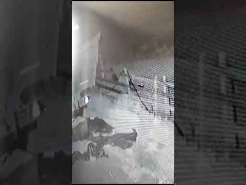 atac caini margineni slobozia scornicesti