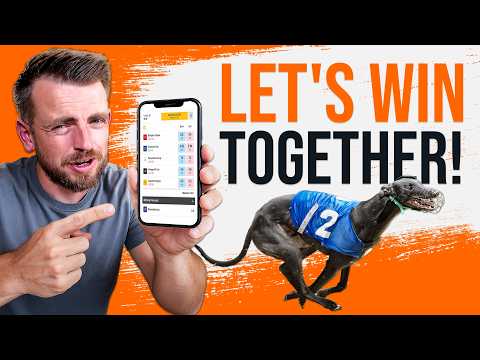 How I Pick My Bets. | A Guide to Betting On Greyhound Racing!