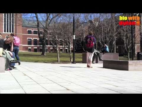 First Day of Spring!