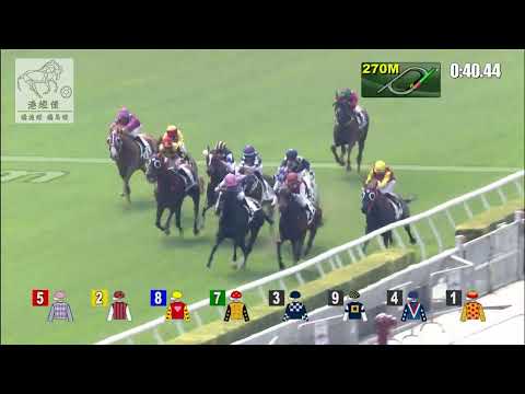 港經佬賽事重溫｜09-01-2022 沙田日馬第二場賽事重溫 (319)｜精彩勇士 METRO WARRIOR (D387)｜何澤堯 C Y Ho｜大衛希斯 D A Hayes｜免費心水及賽馬貼士