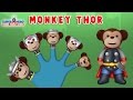 The Finger Family Thor Monkey Family Nursery Rhyme Thor Finger Family Songs
