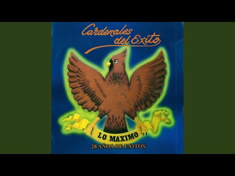 La Ciudad Más Bella