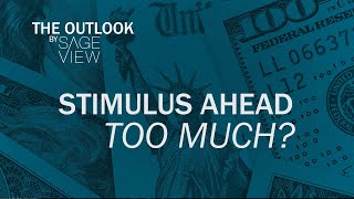 Economic Stimulus Ahead: How much is too much?