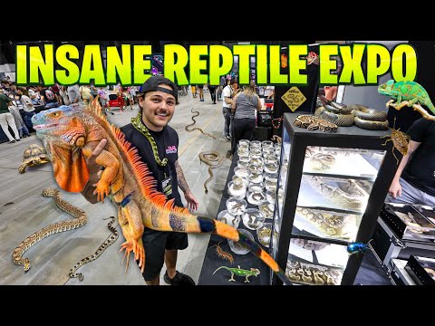 Full Walk-Through of Largest Reptile Expo!!