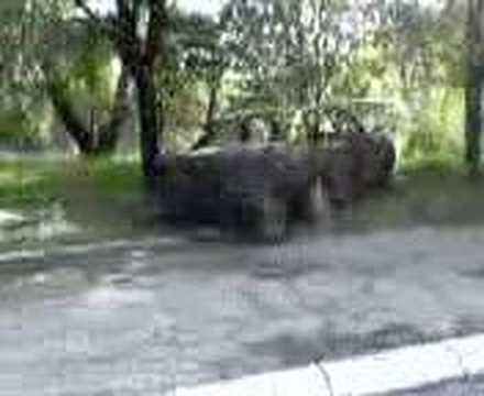 beograd vozdovac(kumodraz)