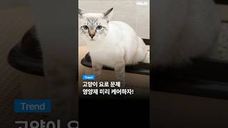 동영상 썸네일