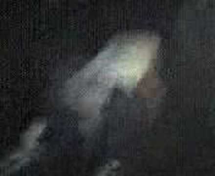 Joey and Jeff Continued