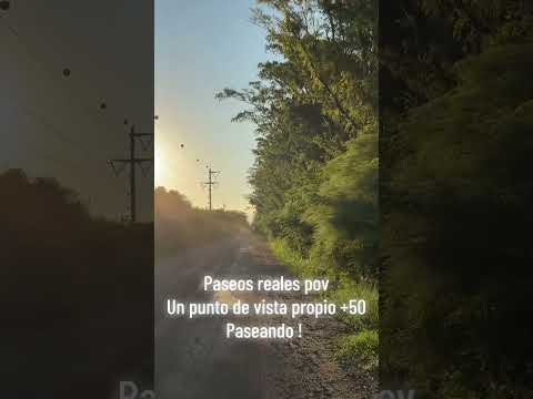 Paseos reales +50 paseando conociendo por Córdoba seguí al canal para ver más  #pov #shorts#cordoba 