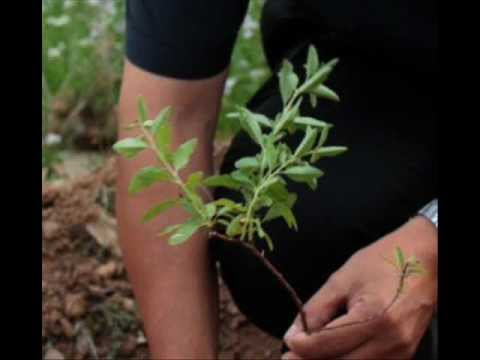 Ha de llegar ese día.wmv