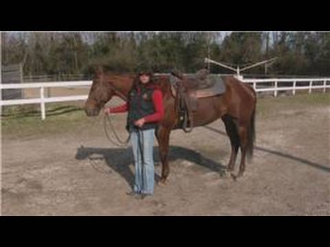 Horse Training : How to Train a Horse to Stand Still for Mounting & Dismounting