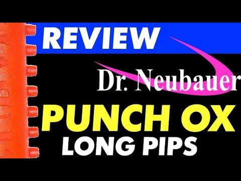 review DR NEUBAUER long pips PUNCH, test OX in block, hitting, looping, spin reversal, chop-block