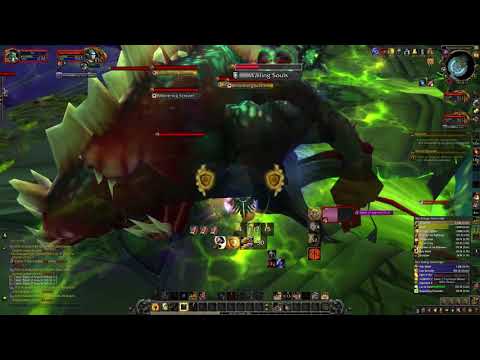 Protection Paladin Solo: Desolate Host, Mythic