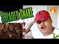 Gunna - Three Headed Snake ft. Young Thug (Official Video) REACTION | JessieT Tv Gunna - Three Headed Snake ft. Young Thug (Official Video) REACTION | JessieT Tv