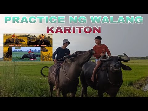 KARERA PRACTICE NG WALANG KARITON PAG,BUNOT NG PUNLA