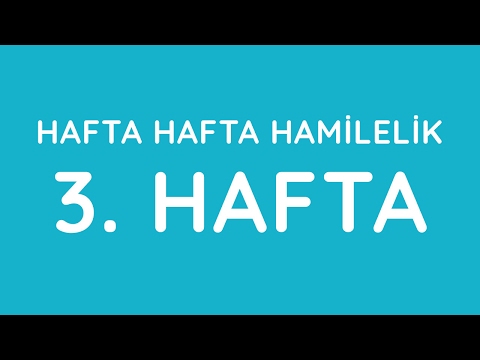 3.Hafta - Hafta Hafta Gebelik - Hamilelik | Anneysen.com