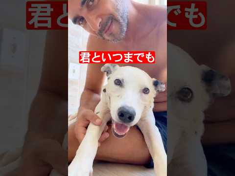 脳卒中に倒れた愛犬をあきらめない