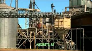 Jornal da Globo - Biomassa responde por 10% da matriz energética (29-10-2014)