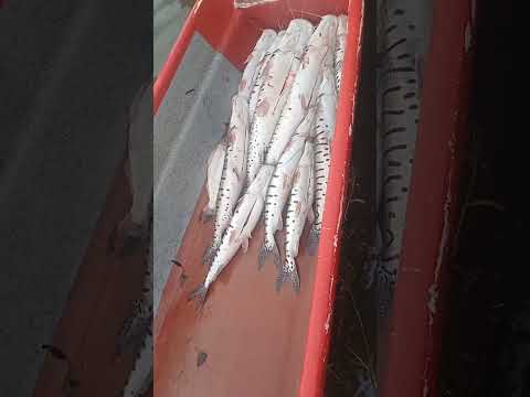 #conociendolugares puerto Berrío Antioquia