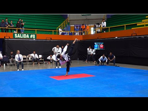 Taekwondo Pyongwon and Keumkang Poomsae