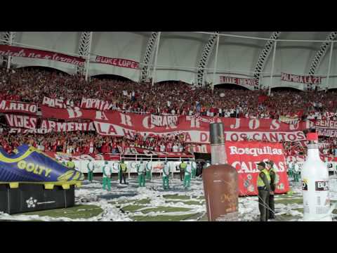 "MI AMOR CRECIÓ EN LA POPULAR CANTO BRS" Barra: Baron Rojo Sur • Club: América de Cáli • País: Colombia