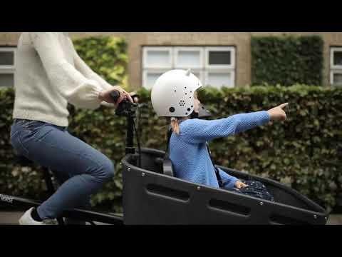 Black Iron Horse - The Pony