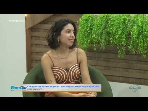O Dia TV
