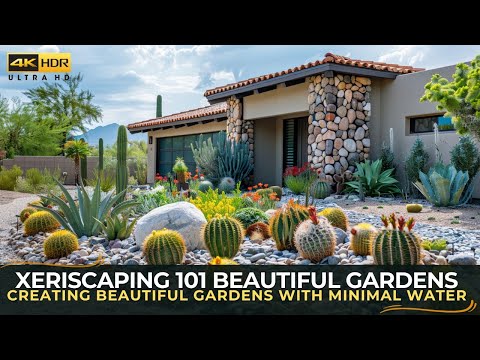 Xeriscaping 101 Creating Beautiful Gardens with Minimal Water