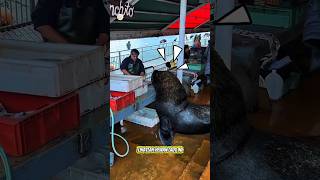 Download lagu WADUH KOK GITU😨#shorts #viral mp3