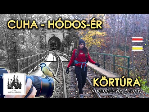 Cuha-völgy - Hódos-ér körtúra, a legszebb vasútvonal születése