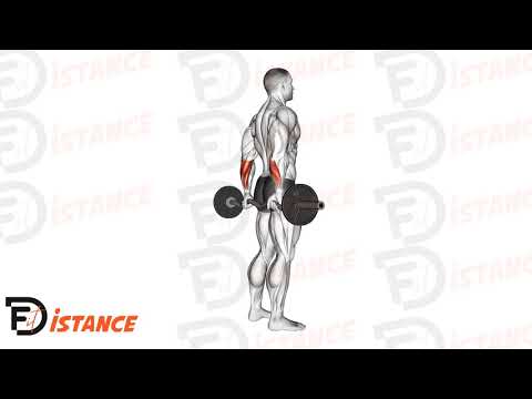 Exercice Curl des poignets derrière le dos avec barre EZ