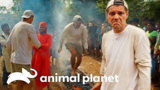 ¡Reto al dolor! Frank camina descalzo sobre fuego | Wild Frank en India | Animal Planet